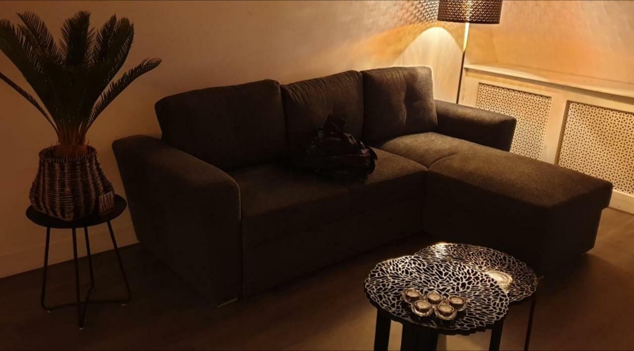 Appartement Petit Paris フリシンゲン エクステリア 写真